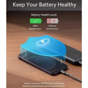 پاوربانک 10000 میلی آمپر انکر مدل Anker PowerCore III 10K A1247